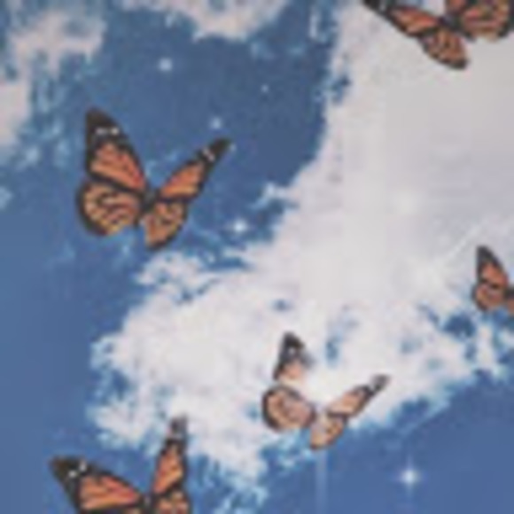 Meet your Posher, Mia - Picture 1 of 1